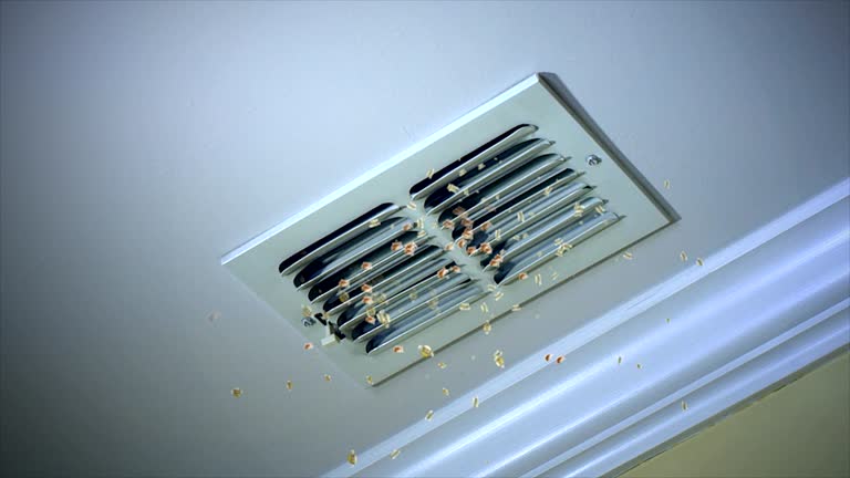 Best Dryer Vent Cleaning Services  in Danville, PA