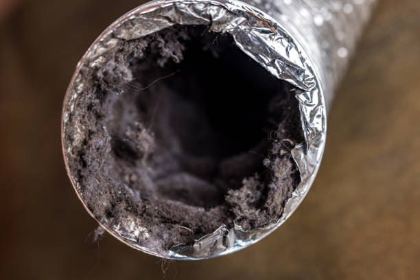 Best Affordable Duct Cleaning Services  in Danville, PA