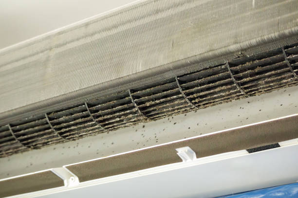 Best Air Duct Inspection  in Danville, PA